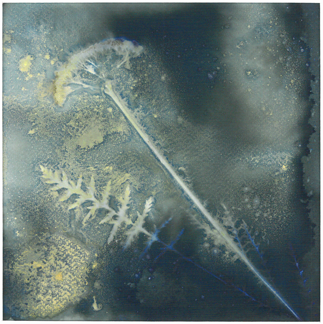 Imprint of Chemistry — 2